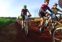 1º Encontro Mountain Bike Solidário Arapongas :: Disposição