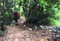 2014-01Jan-19 Bukit Timah Mountain Bike Trail. Singapore Unicycle. 2014-01Jan-19 Bukit Timah Mountain Bike Trail. Singapore Unicycle.