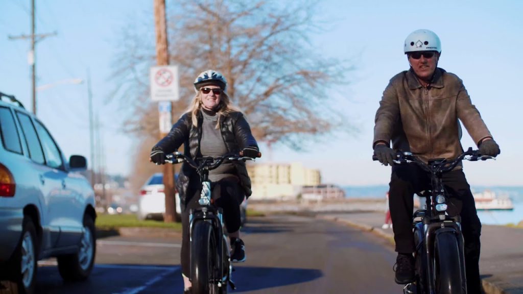 2018 RadRover Electric Fat Bike   Electric Bike from Rad Power Bikes