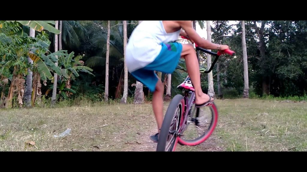 BMX TRICKS'S 14 YERS oLD INSANE 2019