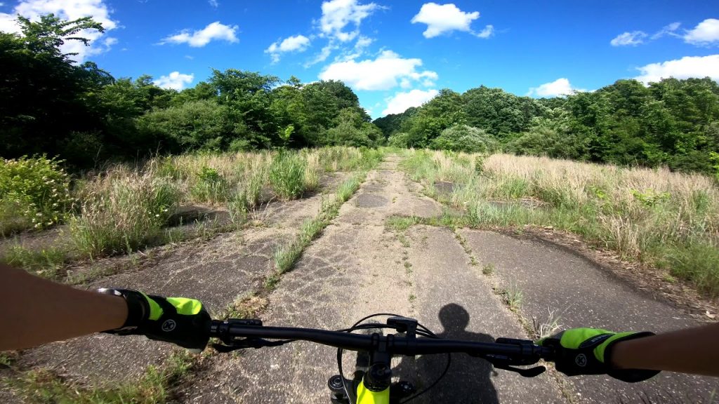 Bavington MTB Trails