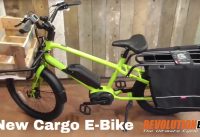 Benno Boost Electric Cargo and Utility E Bike