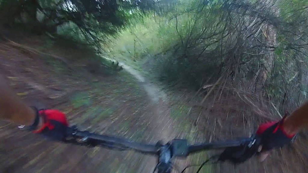 Caloosahatchee Mountain Bike Trails, Far East Section