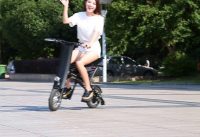 China OEM 2-Wheel Electric Folding Bike Foldaway Bicycle