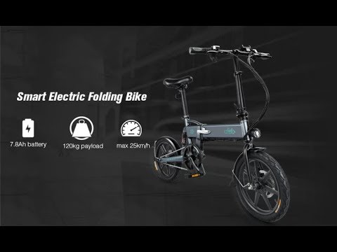 FIIDO D2 Folding Moped Electric Bike