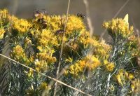 Grasslands National Park Mountain Bike Trip 2011 Grasslands National Park Mountain Bike Trip 2011