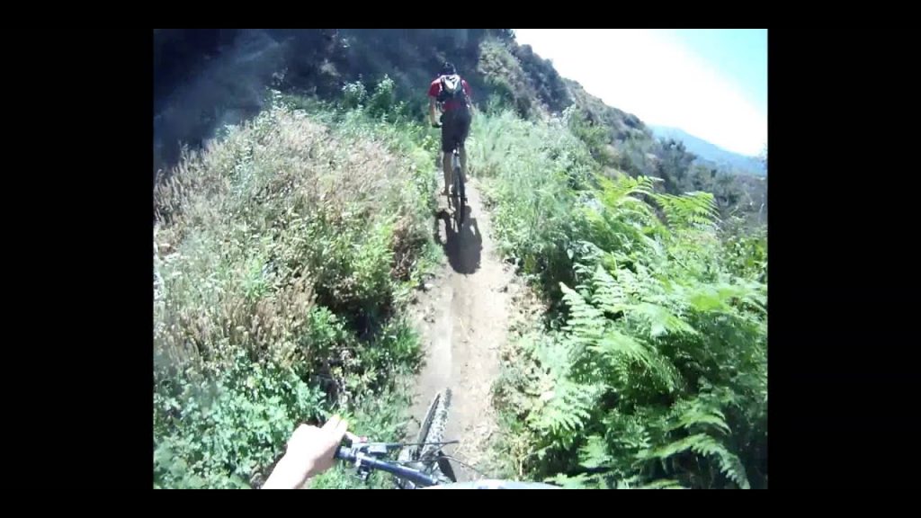 How Not to Mountain Bike