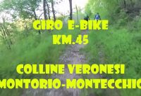 MOUNTAIN BIKE ELETTRICA ESCURSIONE MOUNTAIN BIKE ELETTRICA ESCURSIONE