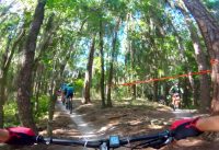 Mountain Bike Race Balm Boyette 30 mile 5/19/2019 Mountain Bike Race Balm Boyette 30 mile 5/19/2019
