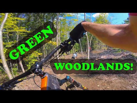 Mountain Biking Green Woodlands | Dorchester, NH