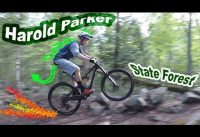 Mountain Biking Harold Parker State Forest | Andover, Massachusetts Mountain Biking Harold Parker State Forest | Andover, Massachusetts