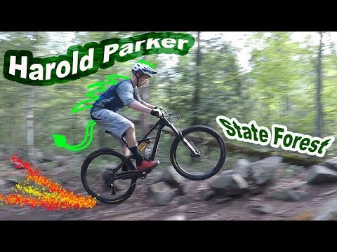 Mountain Biking Harold Parker State Forest | Andover, Massachusetts