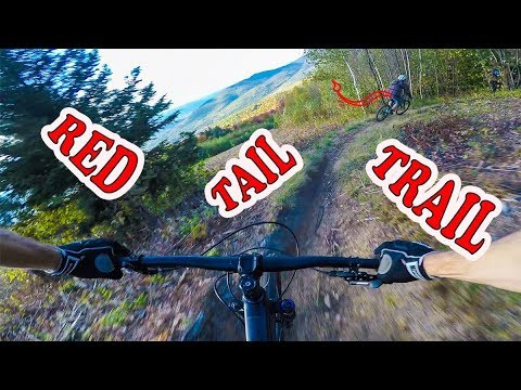 Mountain Biking Red Tail Trail | North Conway, New Hampshire