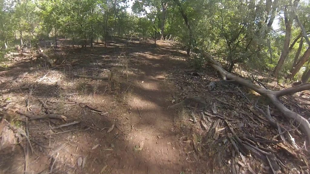 New Mexico Mountain biking