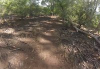 New Mexico Mountain biking