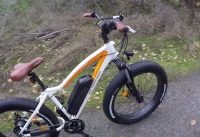 Rad Power Bikes RadRover Video Review   $1 5k Affordable Fat Electric Bike, Twist Throttle