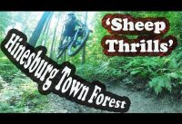 Sheep Thrills | Mountain Biking Hinesburg Town Forest | Hinesburg, VT