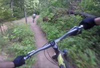 TNT ----)Mount Macpherson(---- Revelstoke