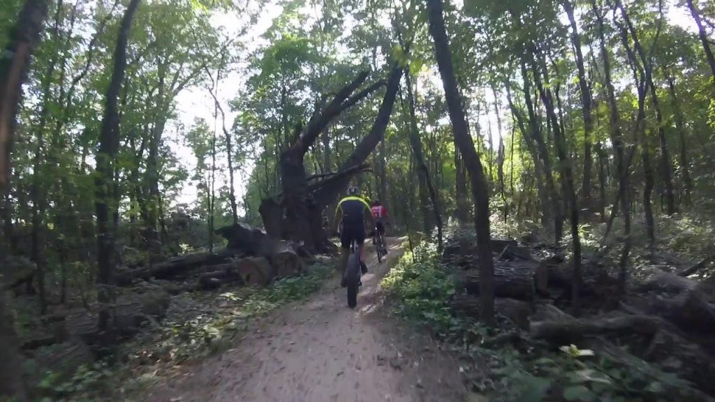 The Mountain Bike Impact