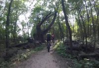 The Mountain Bike Impact