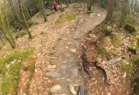 The slowest, most pathetic mountain bike crash ever... The slowest, most pathetic mountain bike crash ever...