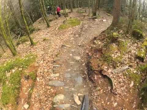 The slowest, most pathetic mountain bike crash ever...