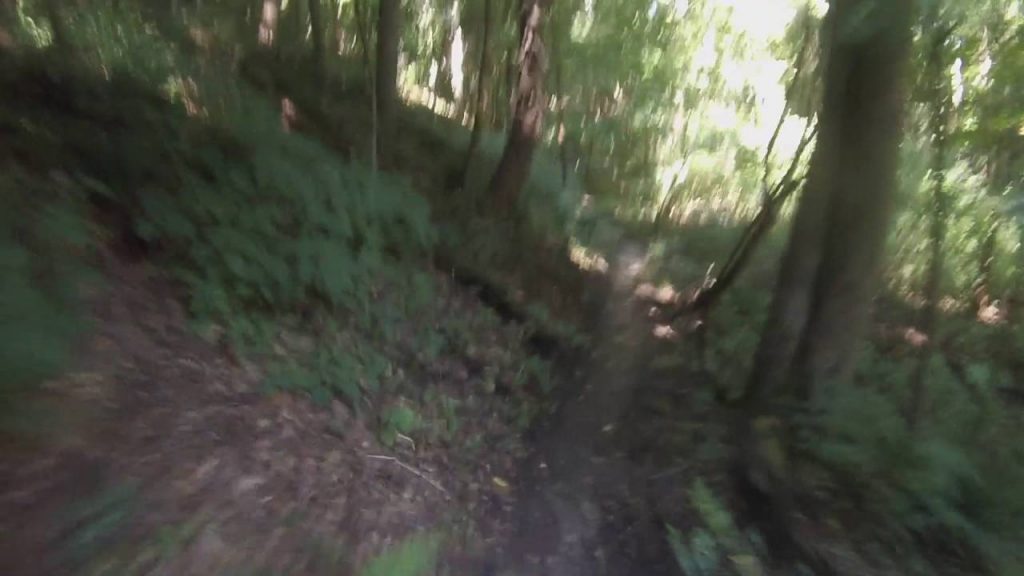 West Michigan Mountain Biking: Andrews University
