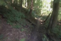 West Michigan Mountain Biking: Andrews University