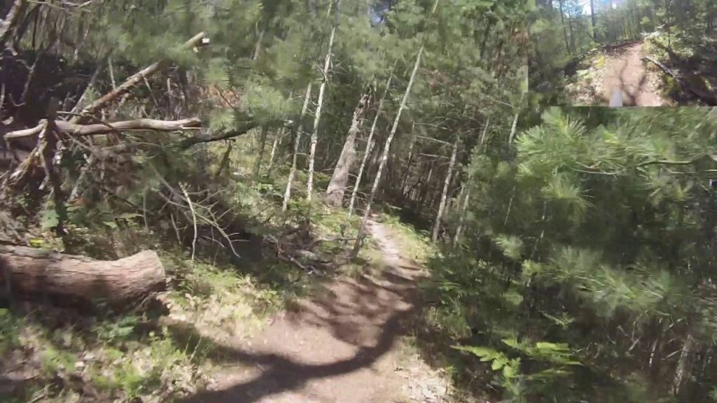 West Michigan Mountain Biking: Vasa Single Track