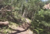 West Michigan Mountain Biking: Vasa Single Track West Michigan Mountain Biking: Vasa Single Track