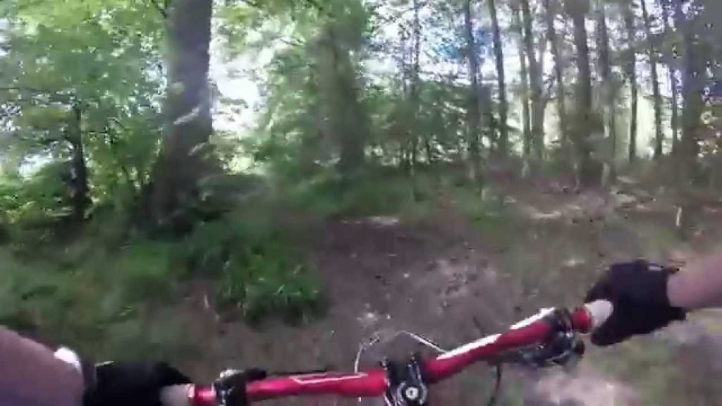 lennox forest mountain bike on enduro mtb