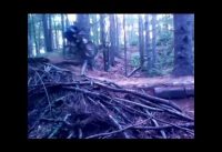 "FOX TAIL TRAIL" Massasoit State Park, Mountain Bike ride "FOX TAIL TRAIL" Massasoit State Park, Mountain Bike ride