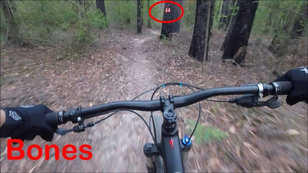 Bones at Erica Mountain Bike park