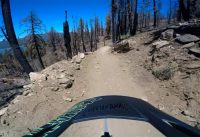 Going Green! Snow Summit Bike Park's new beginner trail Going Green! Snow Summit Bike Park's new beginner trail