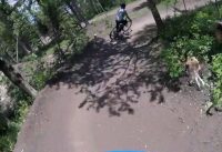 Jackson Hole bike park, incredible bike park.