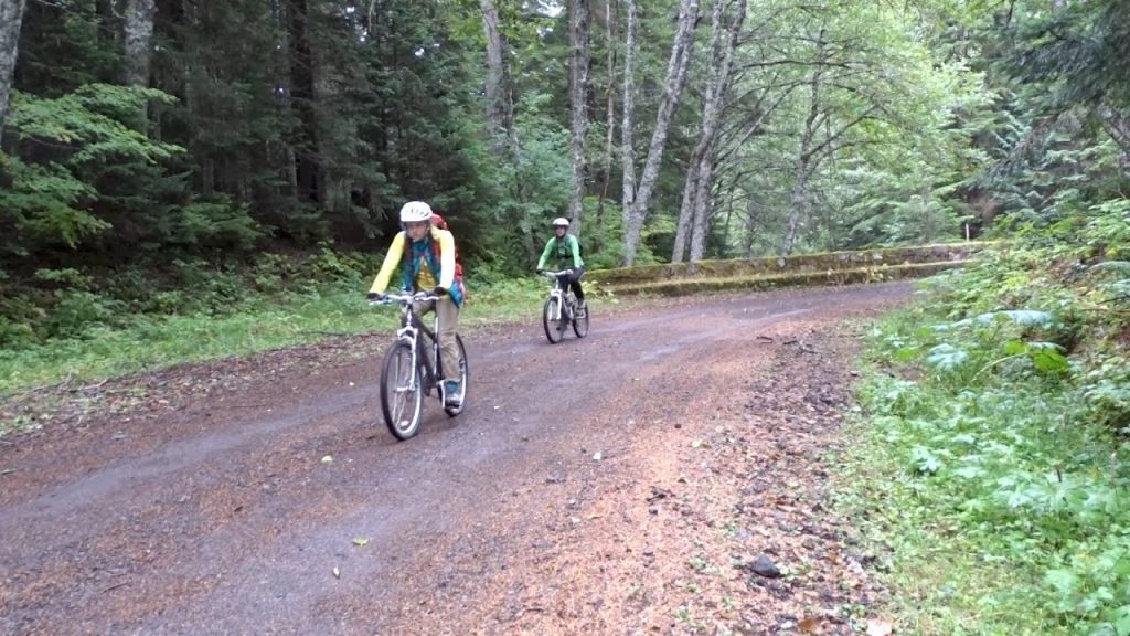 Mount Rainier Experience: Biking the Westside Road