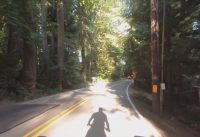 Perfect Bicycle Commute Tiger Mountain to Bellevue Eastgate - Morning