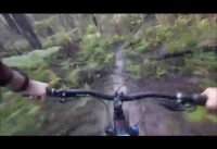 (C2) Wheel Nuts At Erica Mountain Bike Park Western Trails (C2) Wheel Nuts At Erica Mountain Bike Park Western Trails