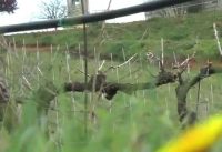 Campionati Italiani Sprint Mountain Bike Orientamento 2015