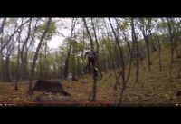 Downhill vs Street bikes (BMX)