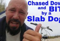 Scariest Day in Slab City: Chased and Bit by a Slab Dog Scariest Day in Slab City: Chased and Bit by a Slab Dog