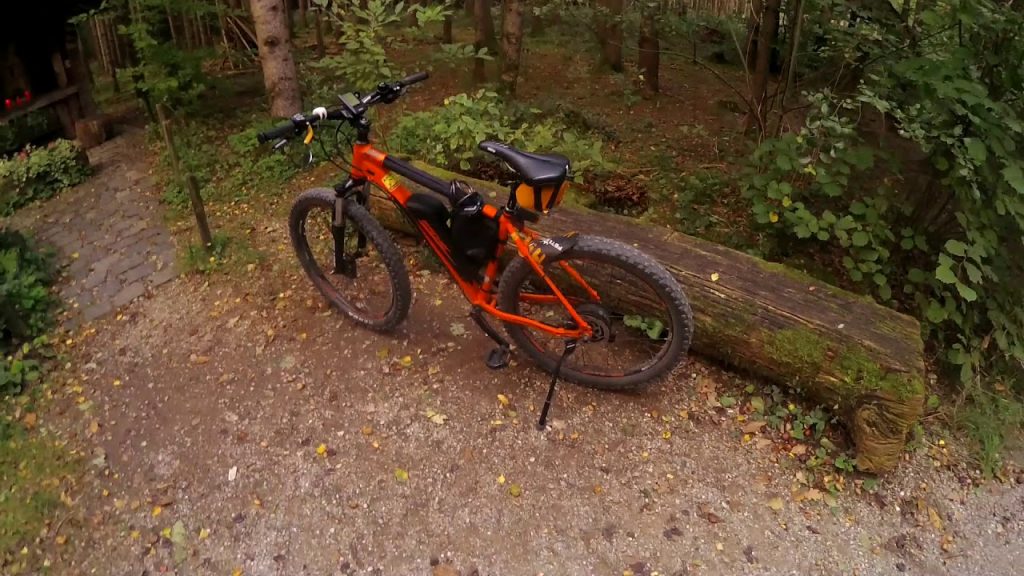 Vorbau Nachziehen bei Fischer MTB EM 1723 E-Bike (500-750km)