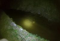 small hiking hike during night time heatwave small hiking hike during night time heatwave