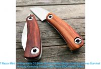 ☀️ LDT Razor Mini Folding Knife D2 Blade Wood Handle Sharp Camping Kn ☀️ LDT Razor Mini Folding Knife D2 Blade Wood Handle Sharp Camping Kn