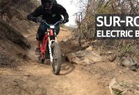 Enduro en un Híbrido Eléctrico - Dora La Exploradora!