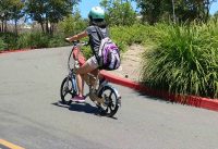 Folding electric bikes, Low rider for teen, ladies, students, seniors. Folding electric bikes, Low rider for teen, ladies, students, seniors.