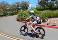 Folding electric bikes, street ebike. FREE TEST RIDE Folding electric bikes, street ebike. FREE TEST RIDE