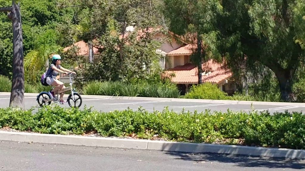 Folding electric bikes. F008, Low ride, FREE TEST RIDE.