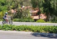 Folding electric bikes. F008, Low ride, FREE TEST RIDE.