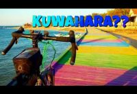 Kuwahara?? Federal pakai Dropbar kok Bagus ya - Sepeda MTB Touring Bike Check Kuwahara?? Federal pakai Dropbar kok Bagus ya - Sepeda MTB Touring Bike Check